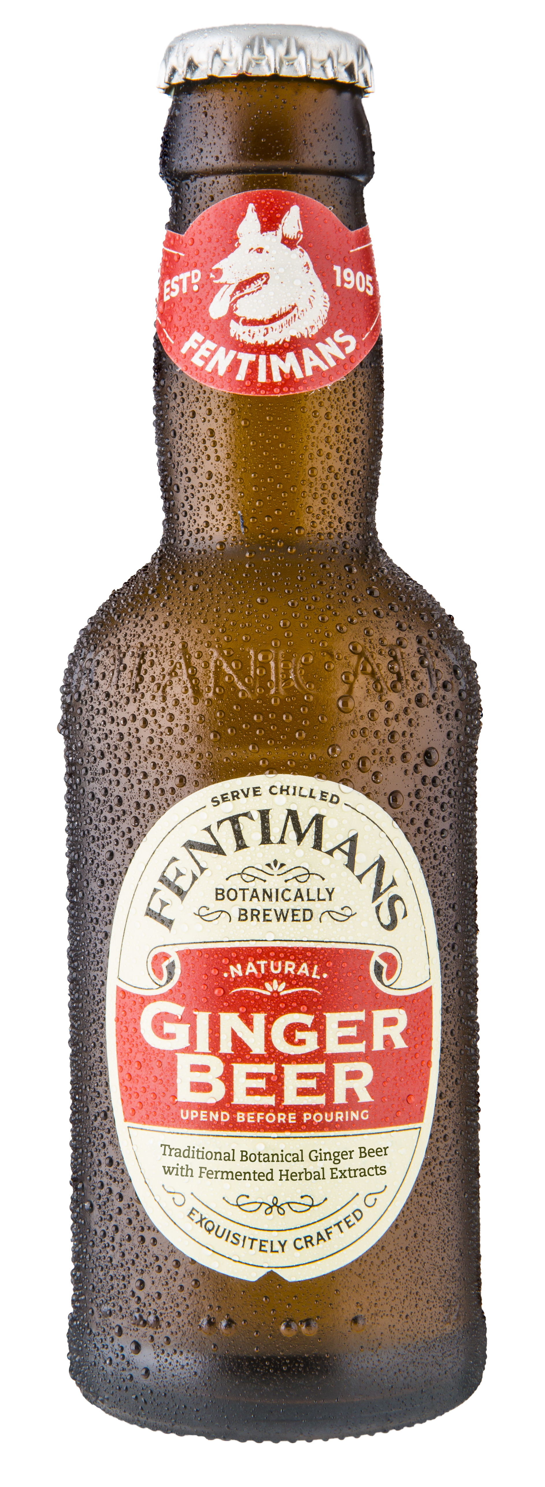 FENTIMANS GINGER BEER 200X24